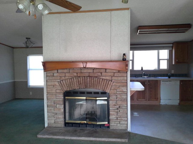 644 Bush Berry Rd, Pelion, SC 29123