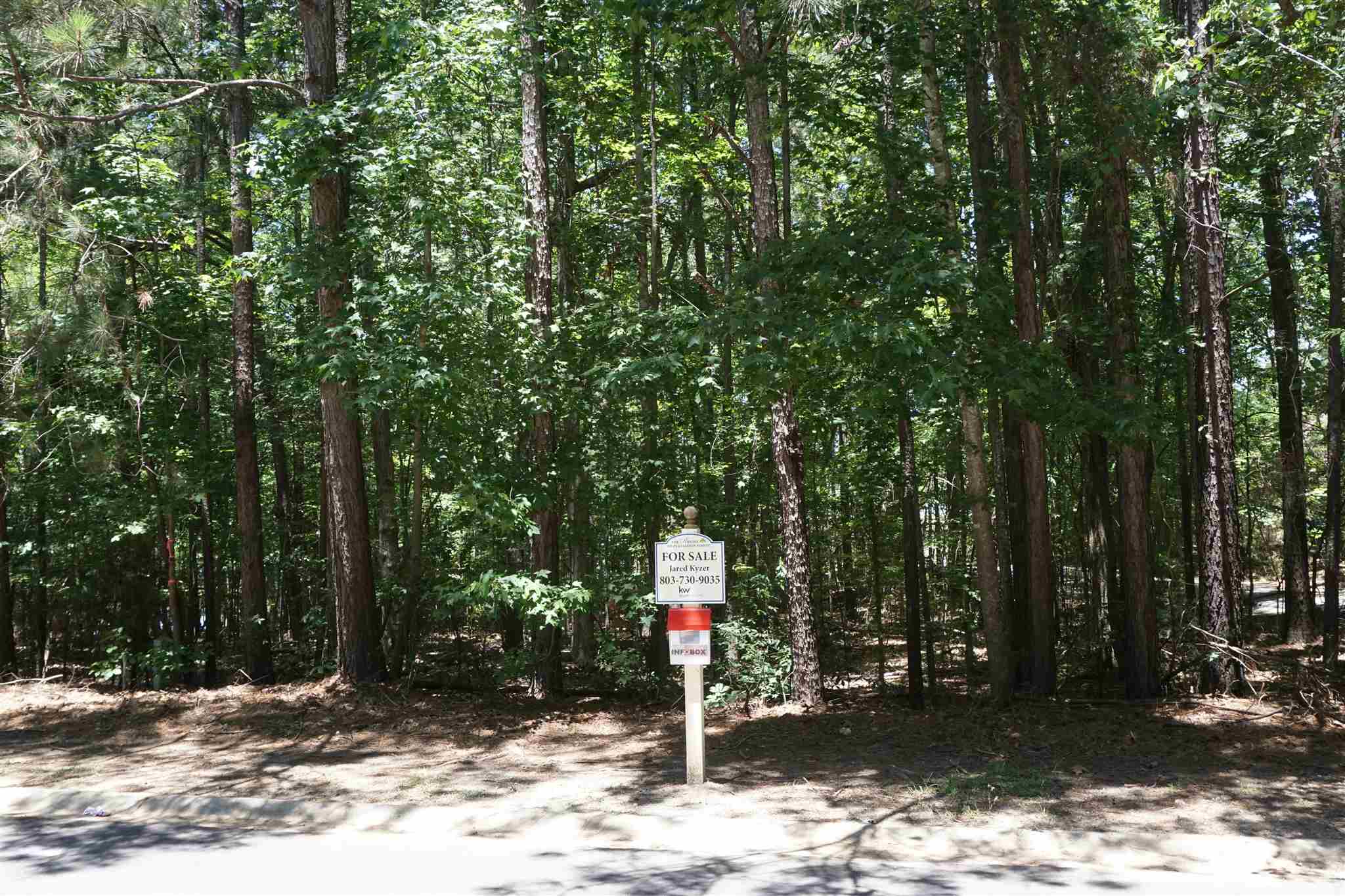 45 Middleton Place, Prosperity, SC 29127