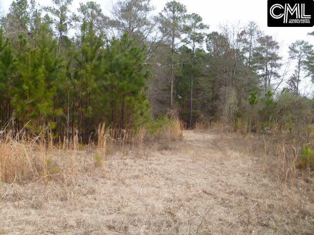 0 PENINSULA Drive, Prosperity, SC 29127