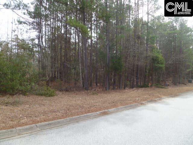0 PENINSULA Drive, Prosperity, SC 29127