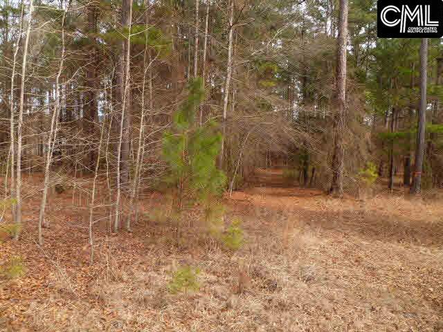 0 PENINSULA Drive, Prosperity, SC 29127