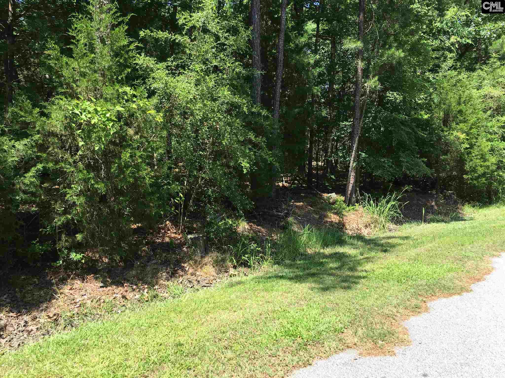 0 Lake Point Drive, Prosperity, SC 29127
