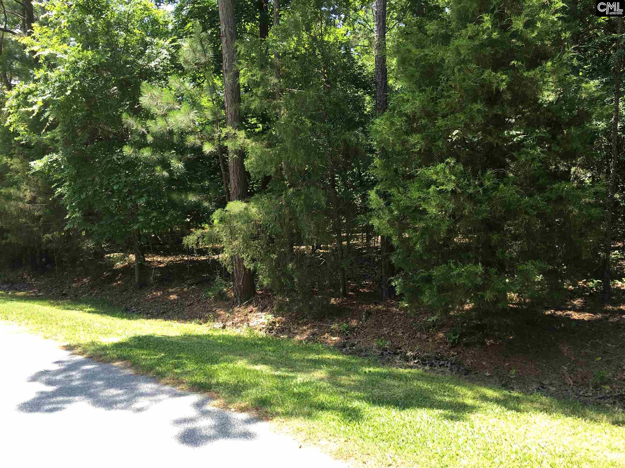 0 Lake Point Drive, Prosperity, SC 29127