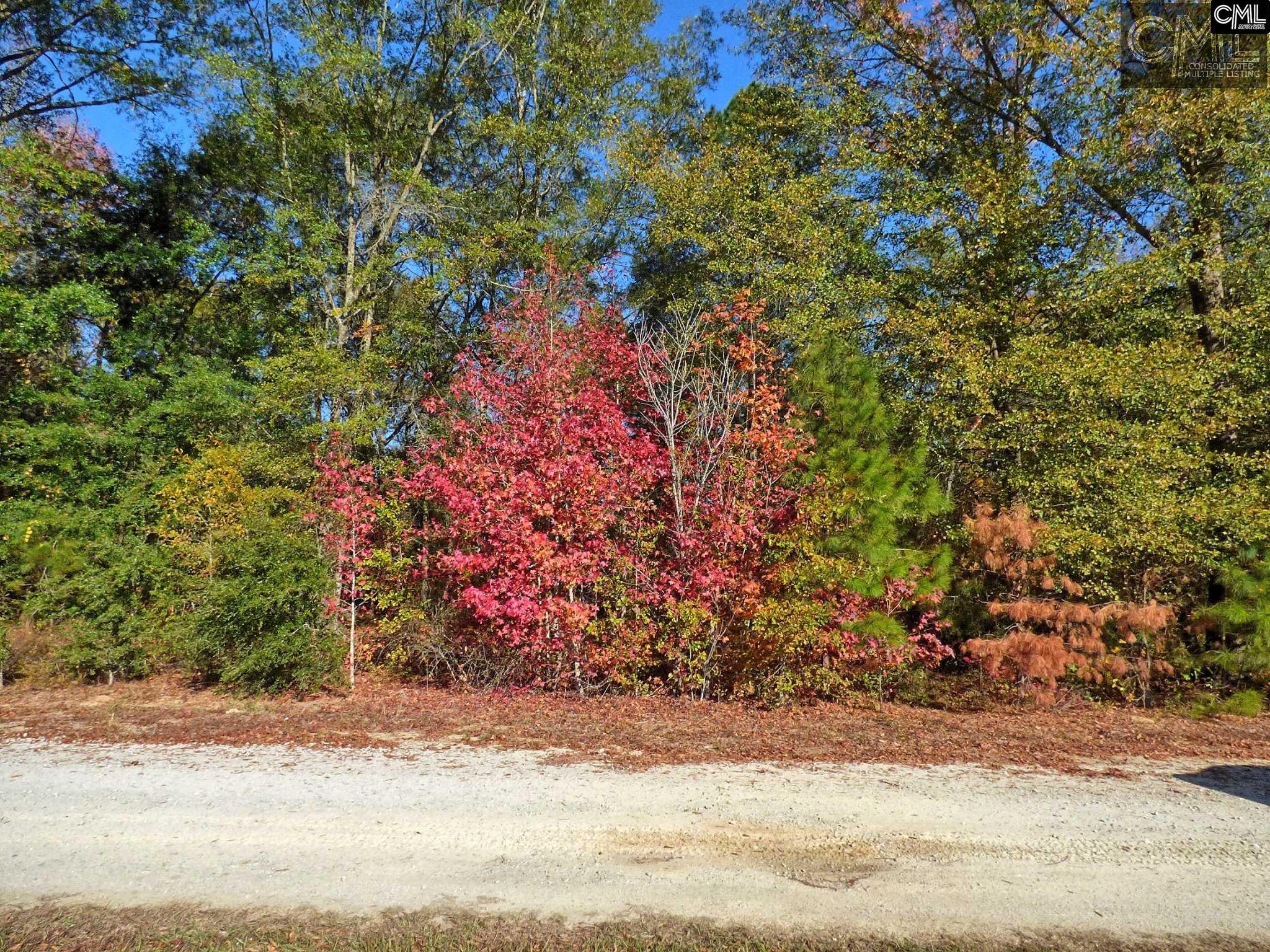 397 Swift Creek Road, Rembert, SC 29128