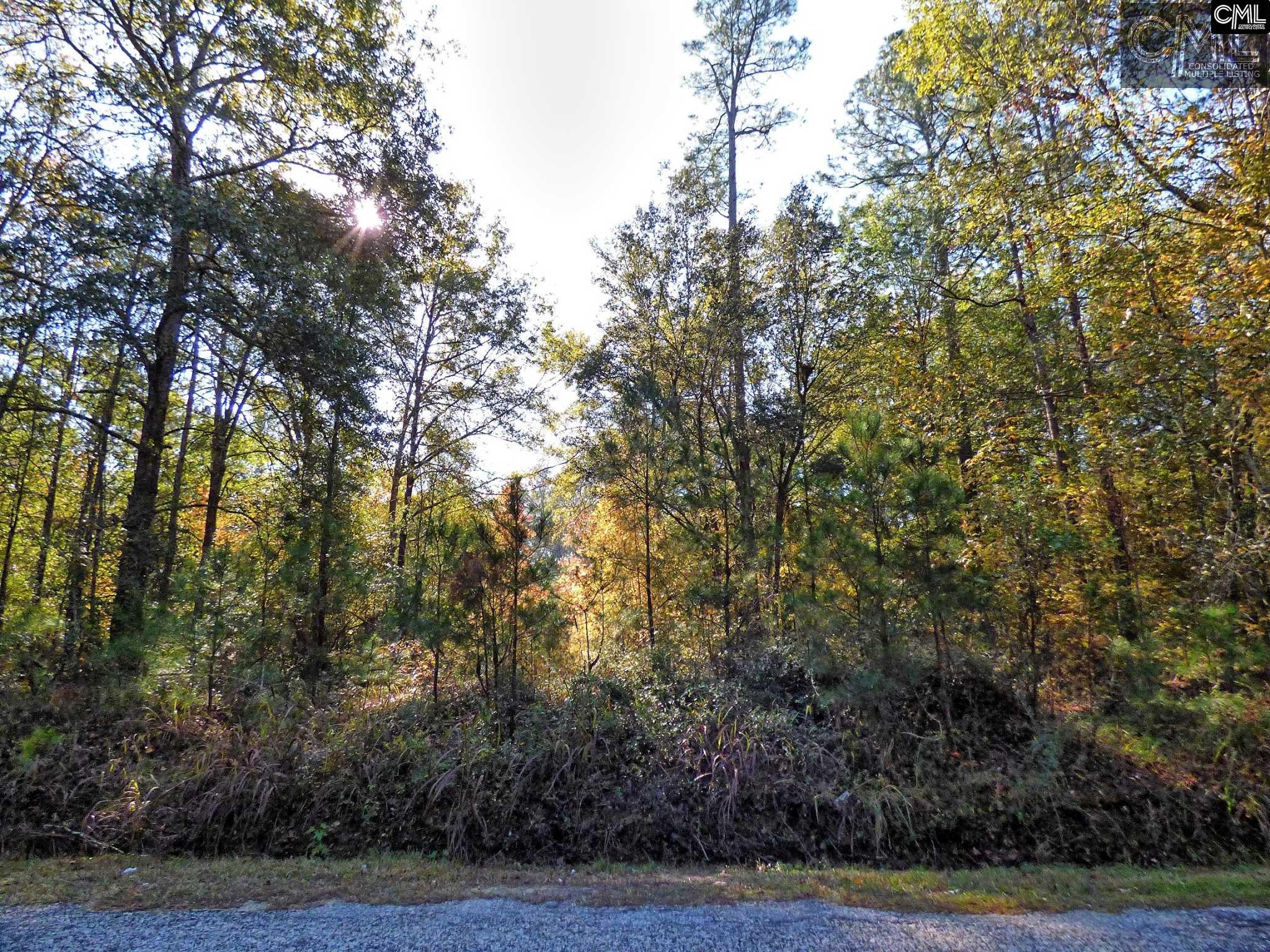 397 Swift Creek Road, Rembert, SC 29128