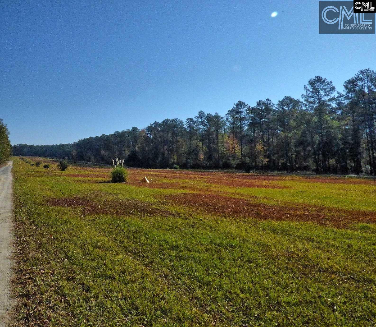 397 Swift Creek Road, Rembert, SC 29128