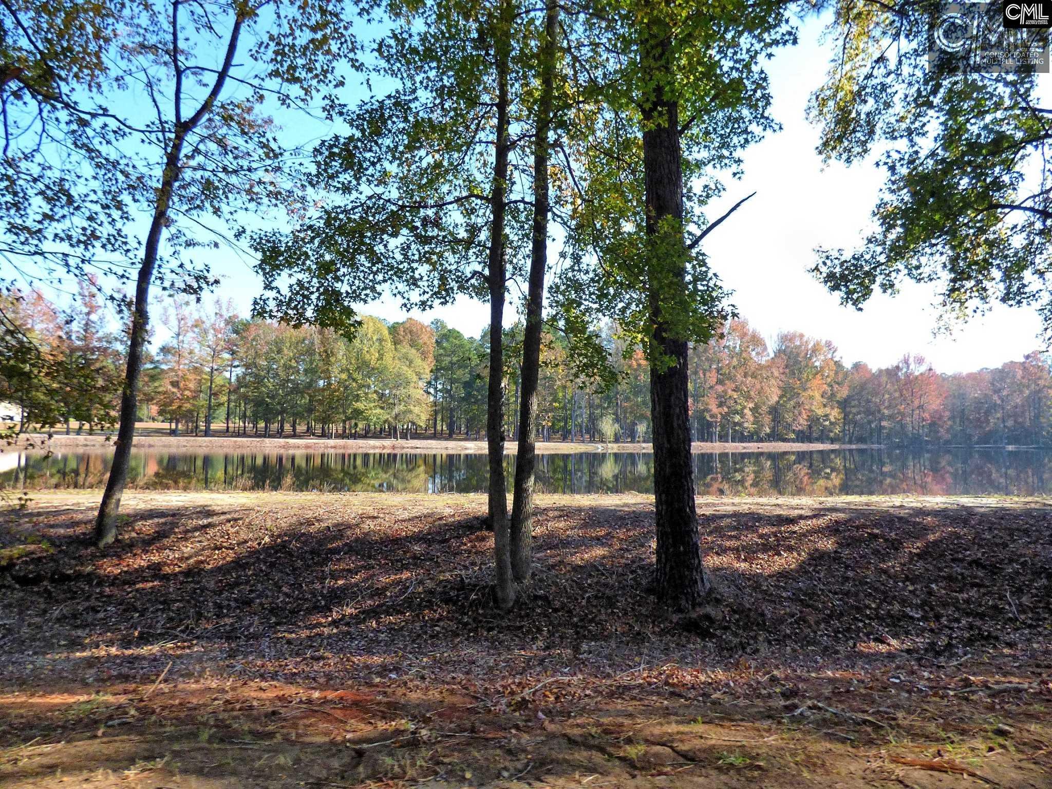 397 Swift Creek Road, Rembert, SC 29128