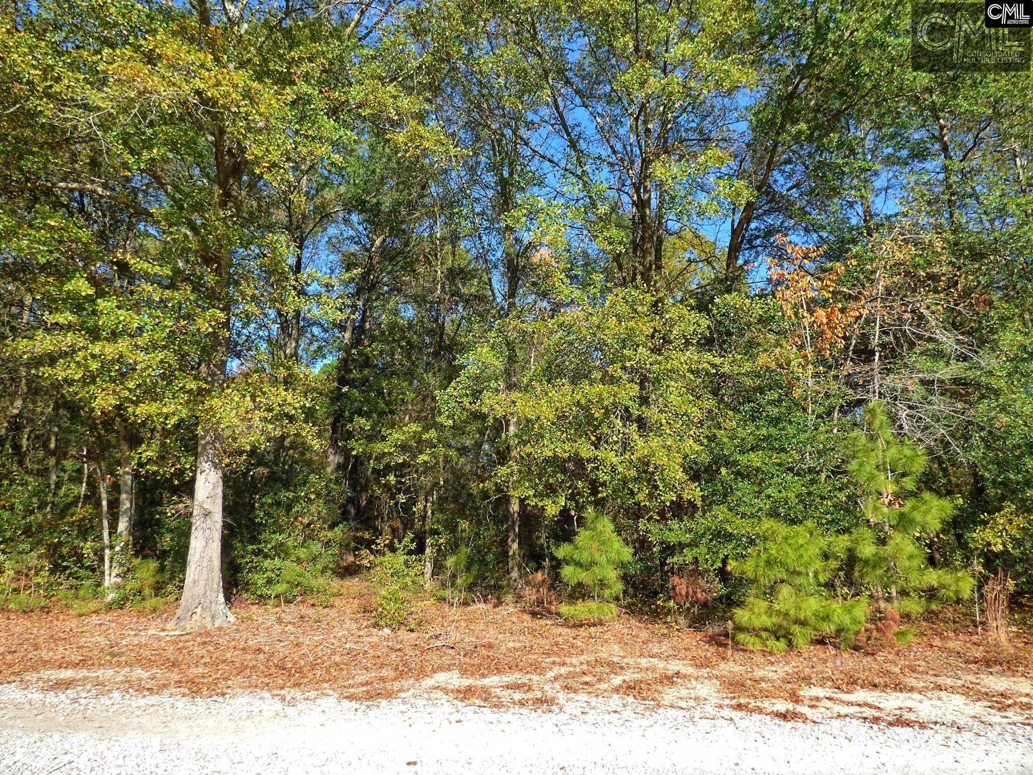 407 Swift Creek Road, Rembert, SC 29128