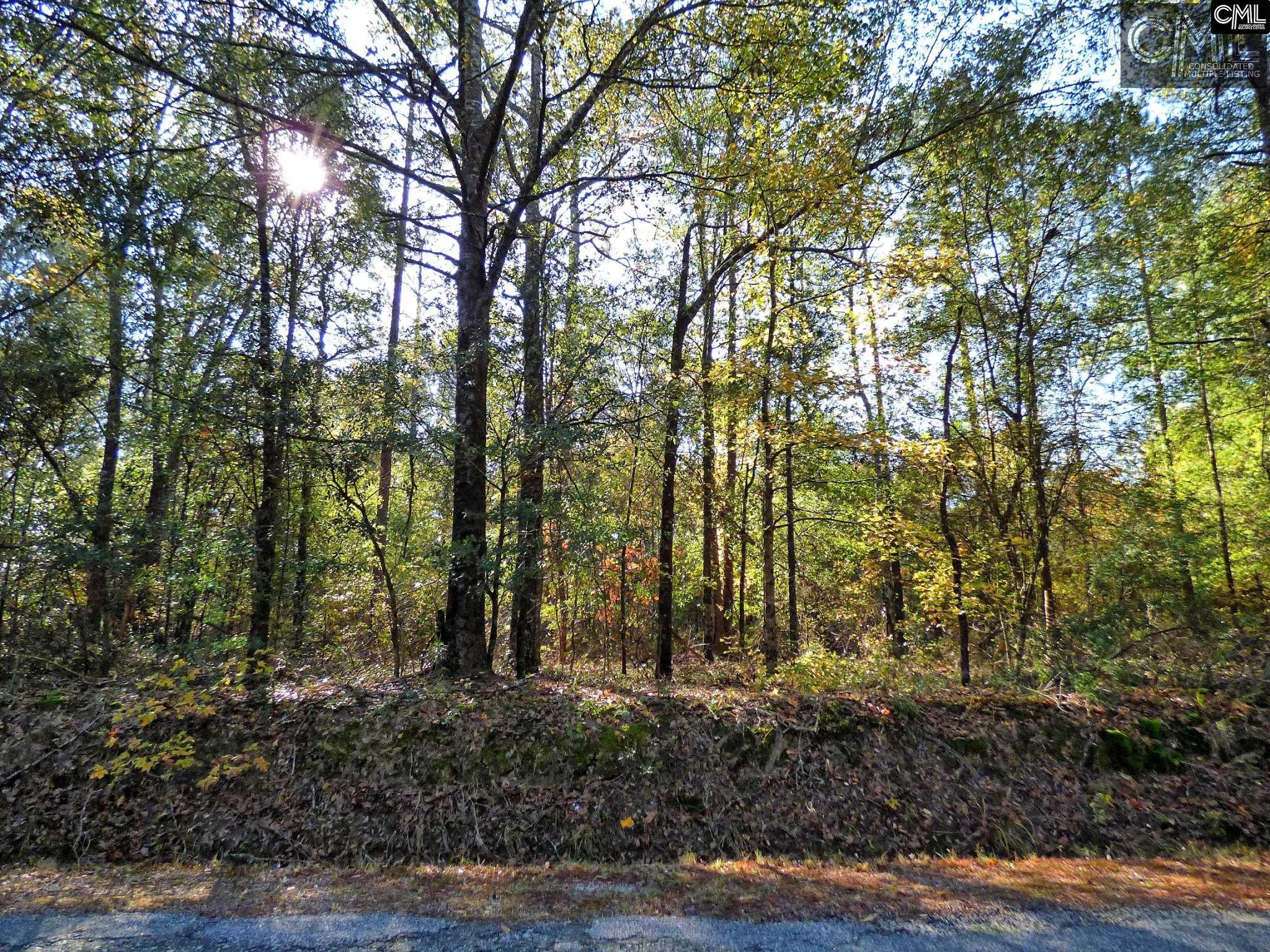 407 Swift Creek Road, Rembert, SC 29128