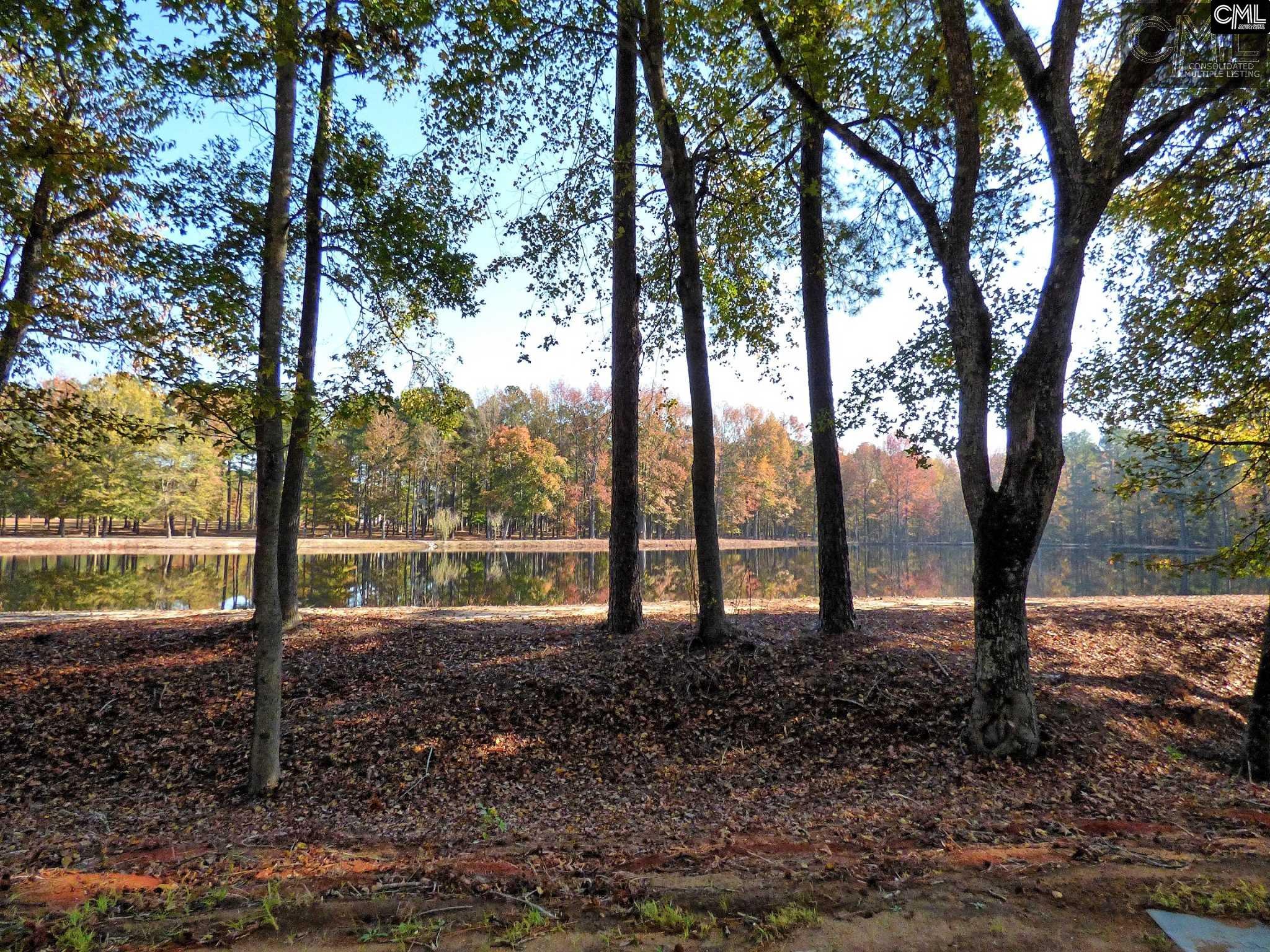 407 Swift Creek Road, Rembert, SC 29128