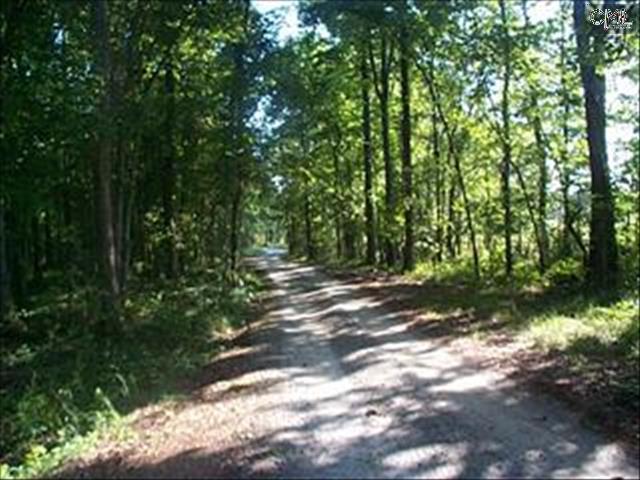 795 SMALLWOOD Road, Ridgeway, SC 29130