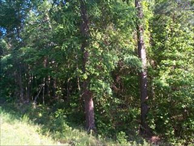 795 SMALLWOOD Road, Ridgeway, SC 29130
