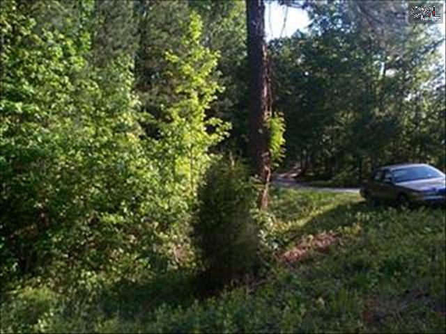 795 SMALLWOOD Road, Ridgeway, SC 29130