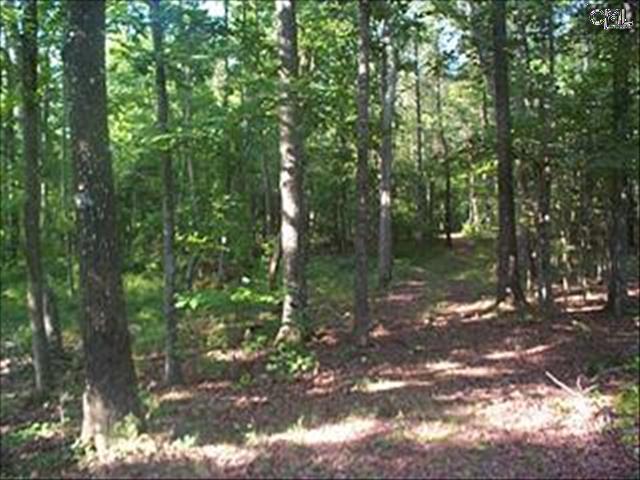 795 SMALLWOOD Road, Ridgeway, SC 29130