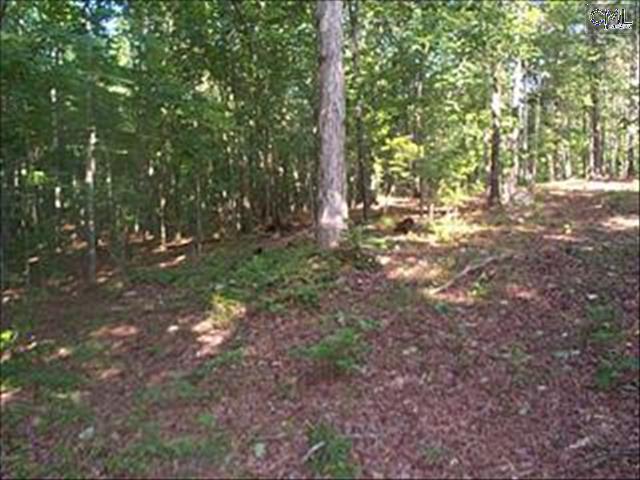 795 SMALLWOOD Road, Ridgeway, SC 29130