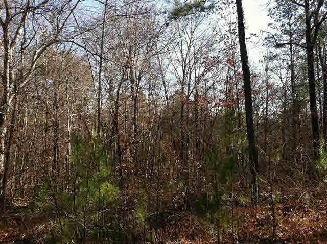 2066 &amp; 2070 RIDGEWAY Road, Ridgeway, SC 29130