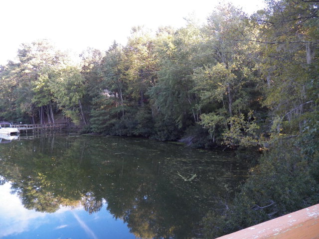 Lots 4,5 Pinckney Rd, Santee, SC 29142