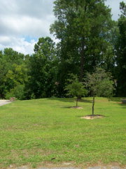 106 Broad River RD, Santee, SC 29142