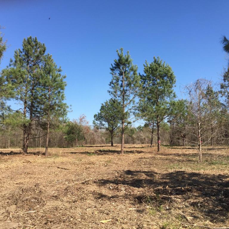 1 Dre Court Road, Santee, SC 29142