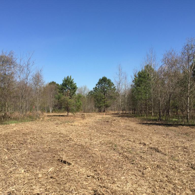 1 Dre Court Road, Santee, SC 29142