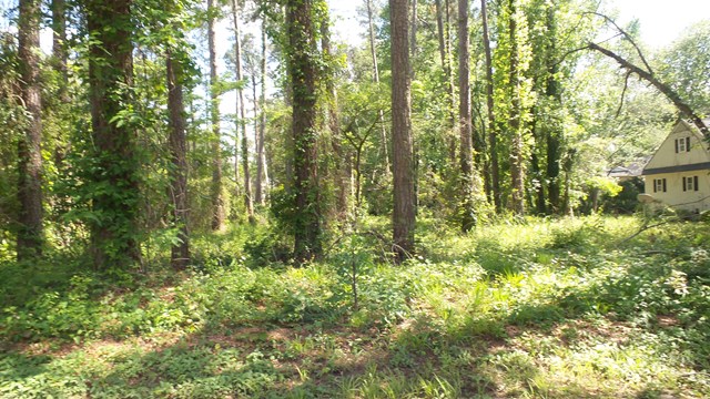 128 Cooper Circle, Santee, SC 29142