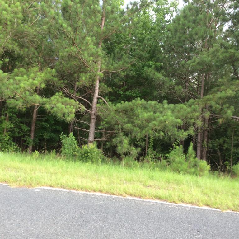 00 William Brunson Road, Summerton, SC 29148
