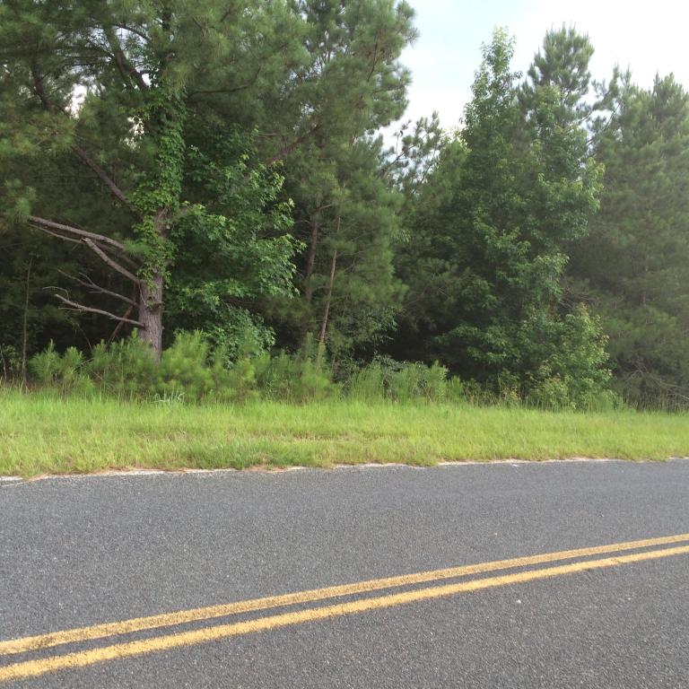 00 William Brunson Road, Summerton, SC 29148