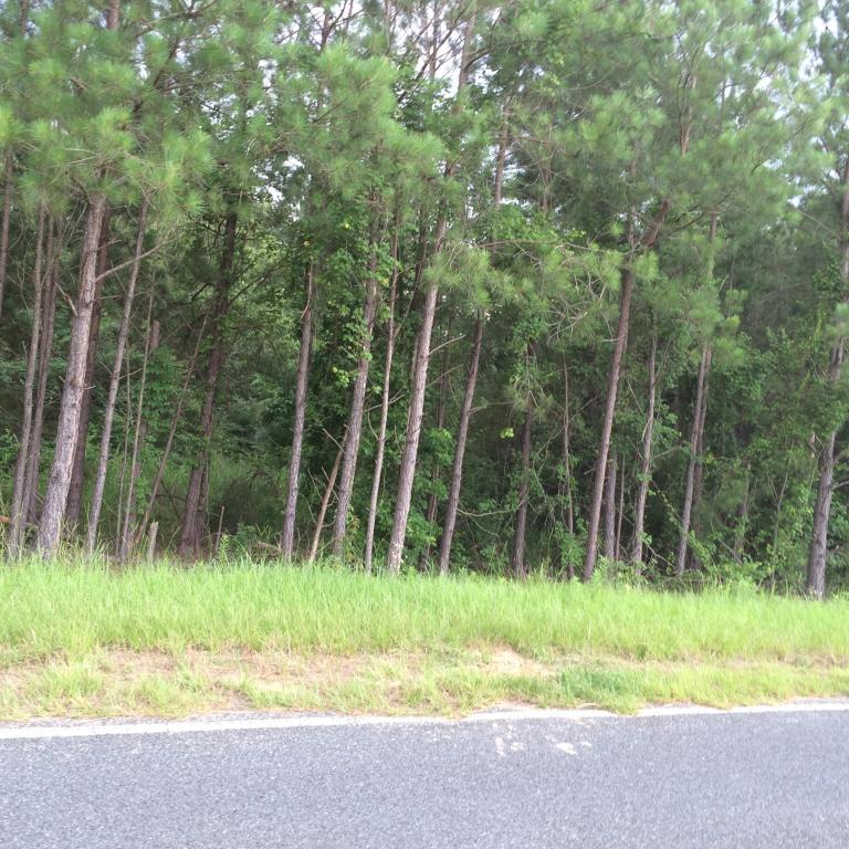000 William Brunson Road, Summerton, SC 29148