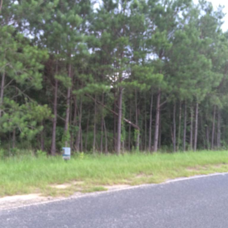 000 William Brunson Road, Summerton, SC 29148