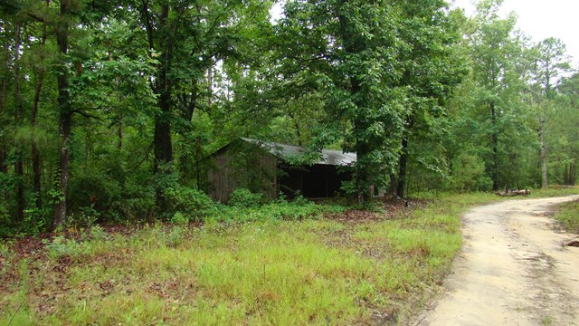 0 Cotton Lane, Summerton, SC 29148
