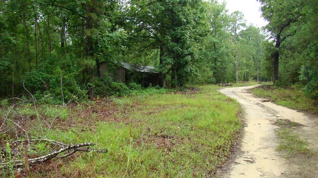 0 Cotton Lane, Summerton, SC 29148