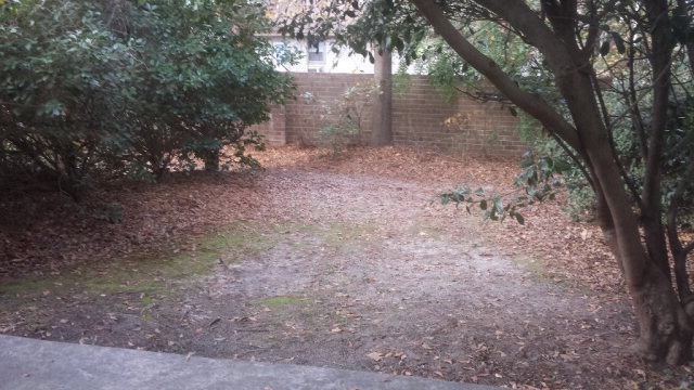 1038 N. Guignard Apt. #8, Sumter, SC 29150