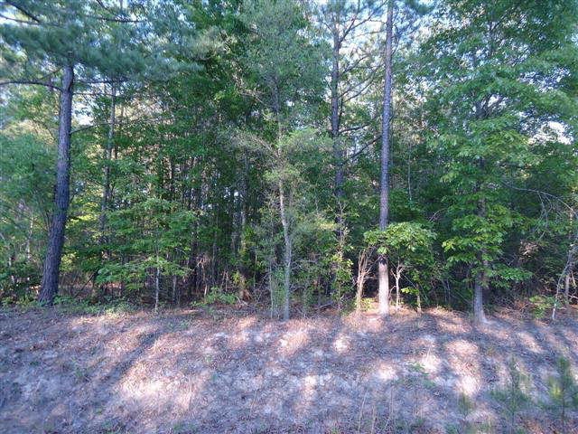 2908-A Porcher, Sumter, SC 29150