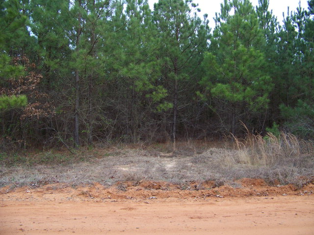 3110 QUANDRY RD, Sumter, SC 29150
