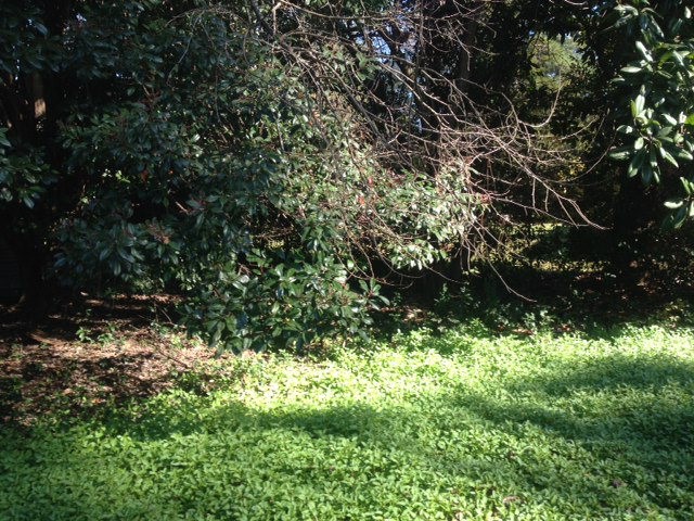 001 Blackberry Lane, Sumter, SC 29154