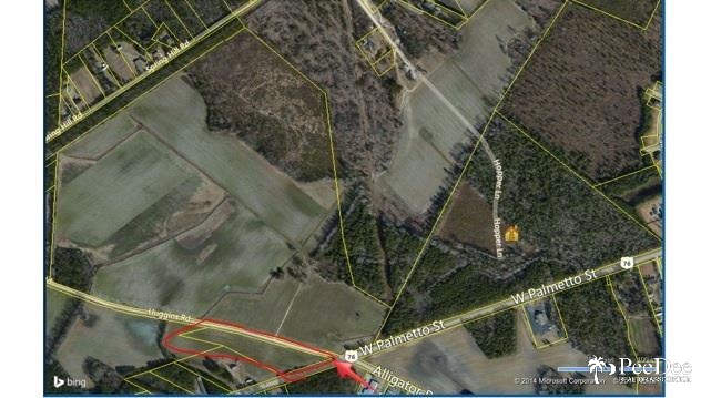 4405 Huggins rd, Timmonsville, SC 29161