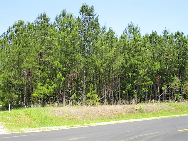 4 AC Mill Creek Rd, Vance, SC 29163
