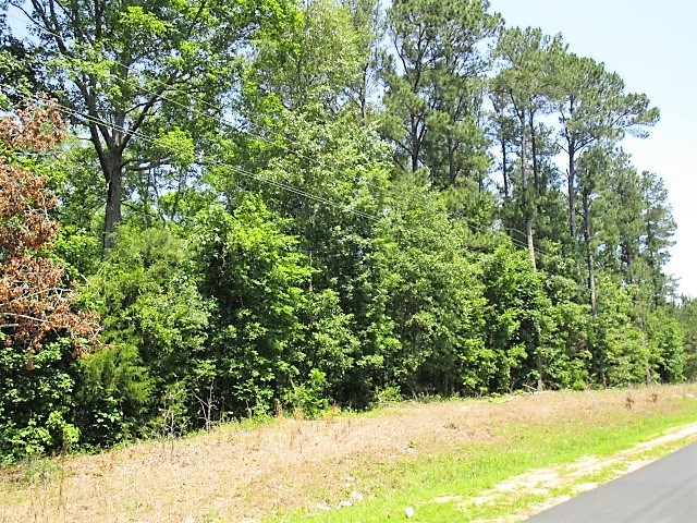 4 AC Mill Creek Rd, Vance, SC 29163