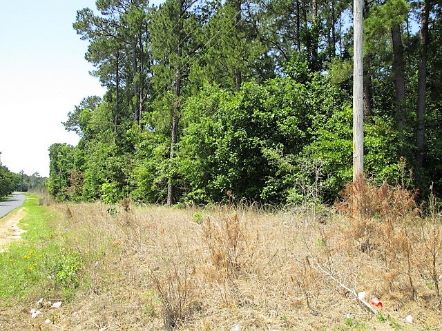 4 AC Mill Creek Rd, Vance, SC 29163