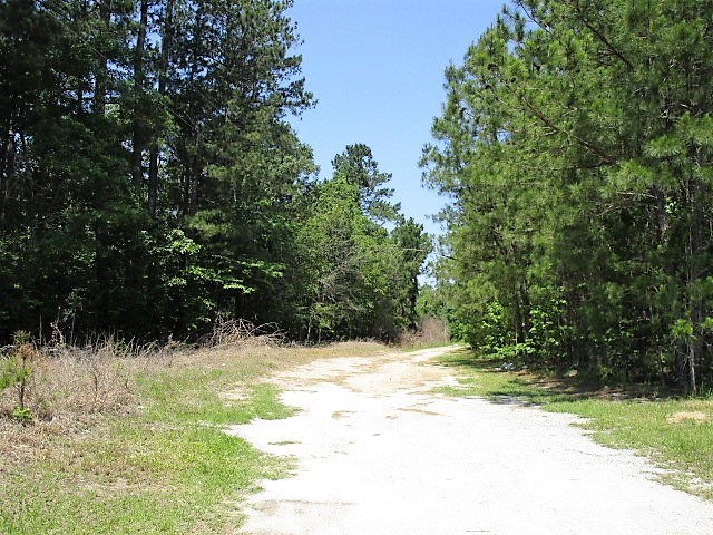 4 AC Mill Creek Rd, Vance, SC 29163