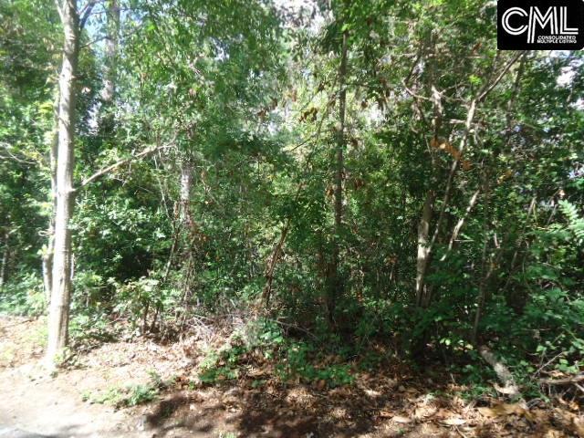 205 Danwood Drive, West Columbia, SC 29169