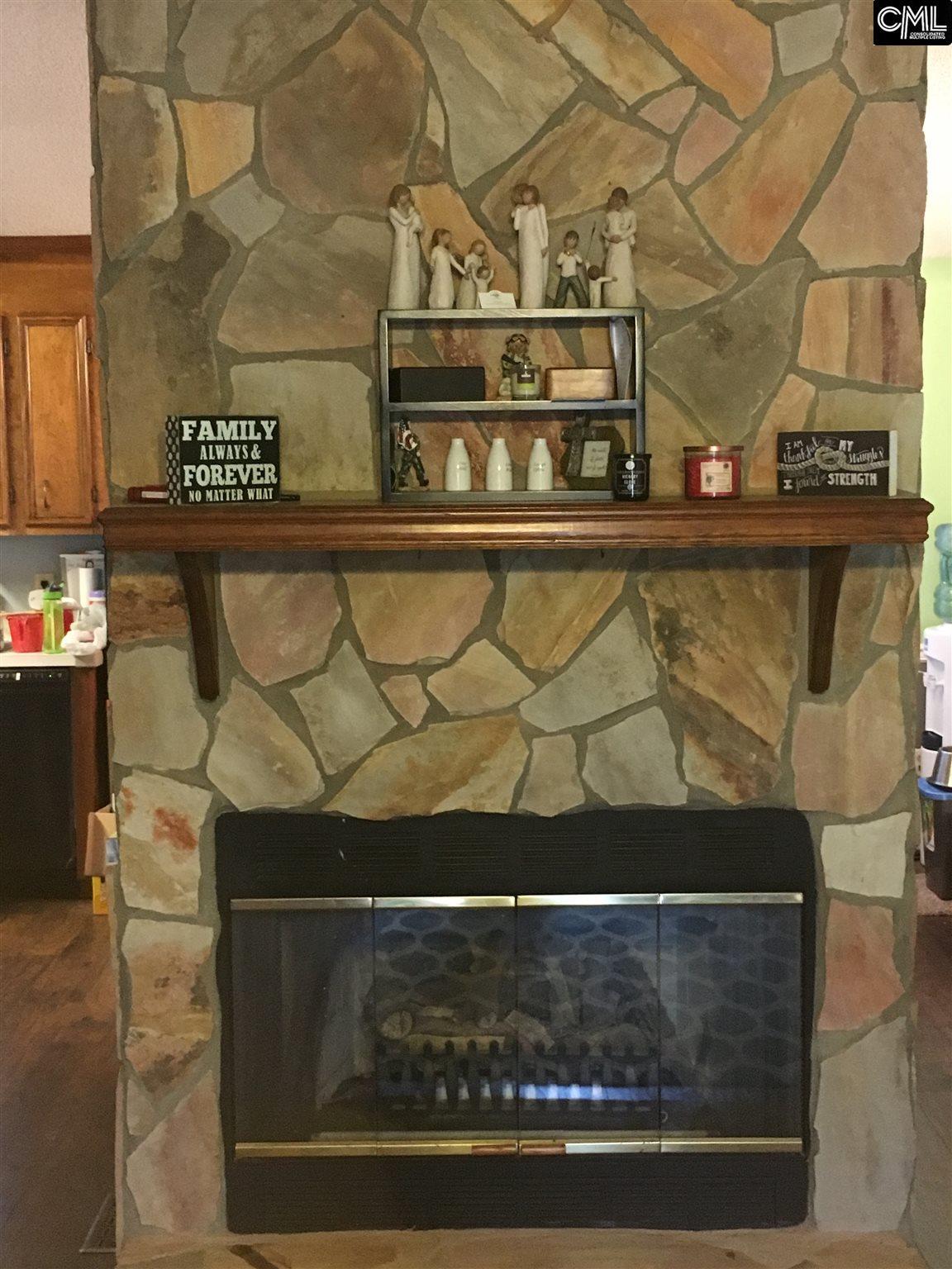 255 Sausage Lane, West Columbia, SC 29170