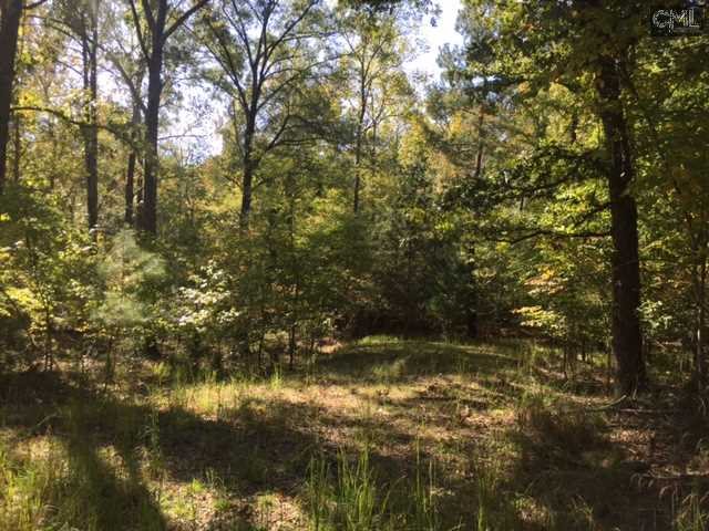 1604 WATEREE ESTATES Road, Winnsboro, SC 29180