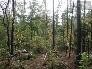 1869 Us Hwy 321 South Highway