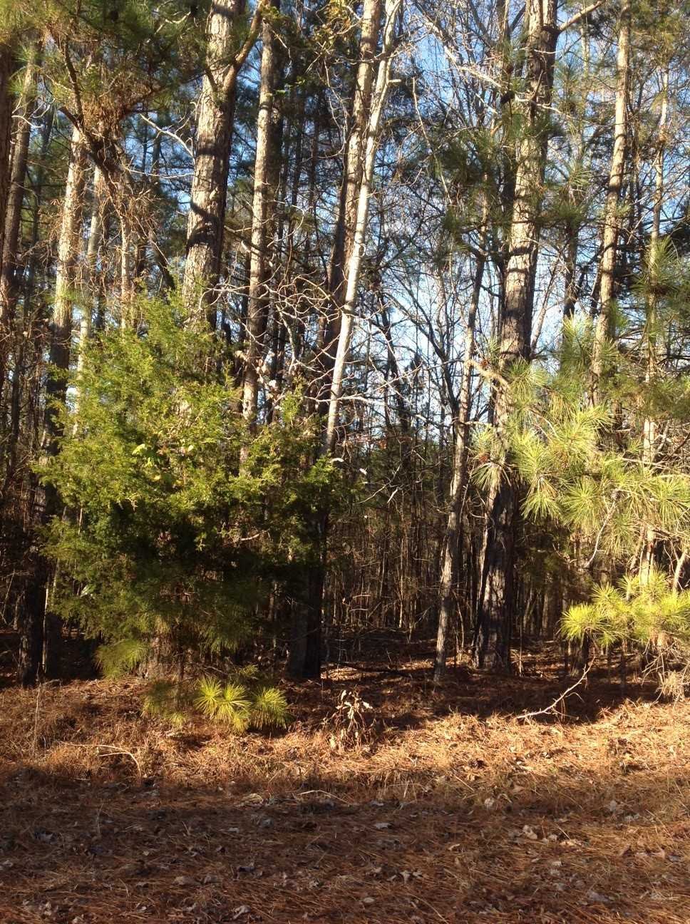 Tbd Smallstown Road