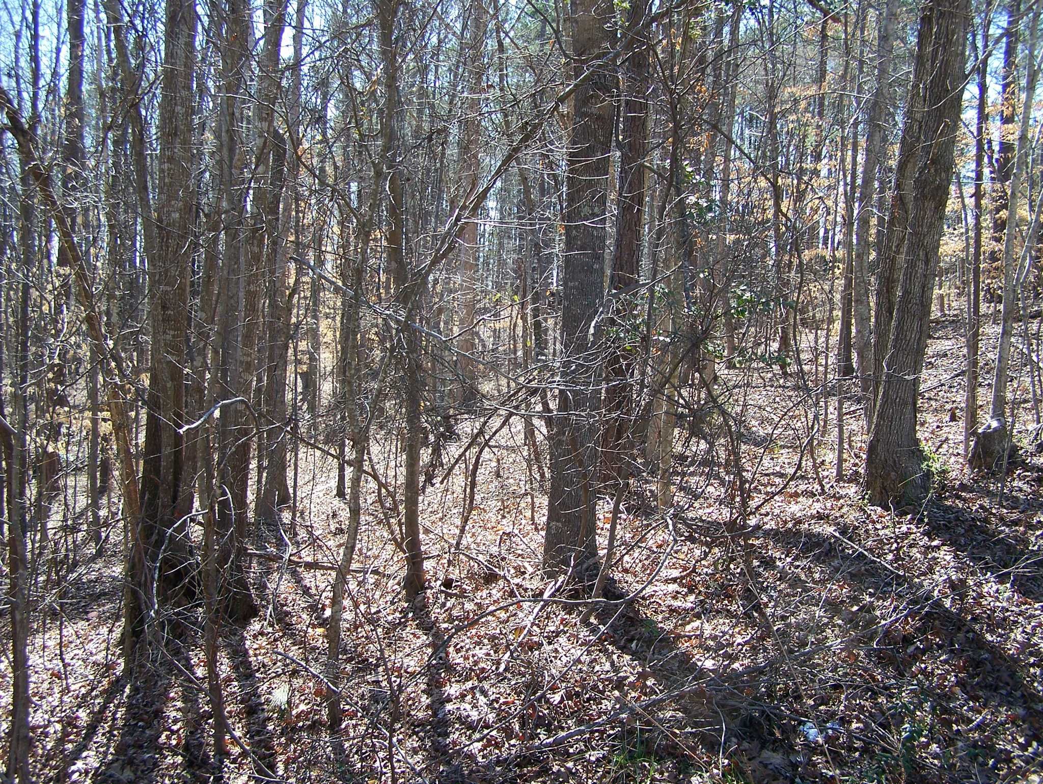 Tbd Sandcreek Drive