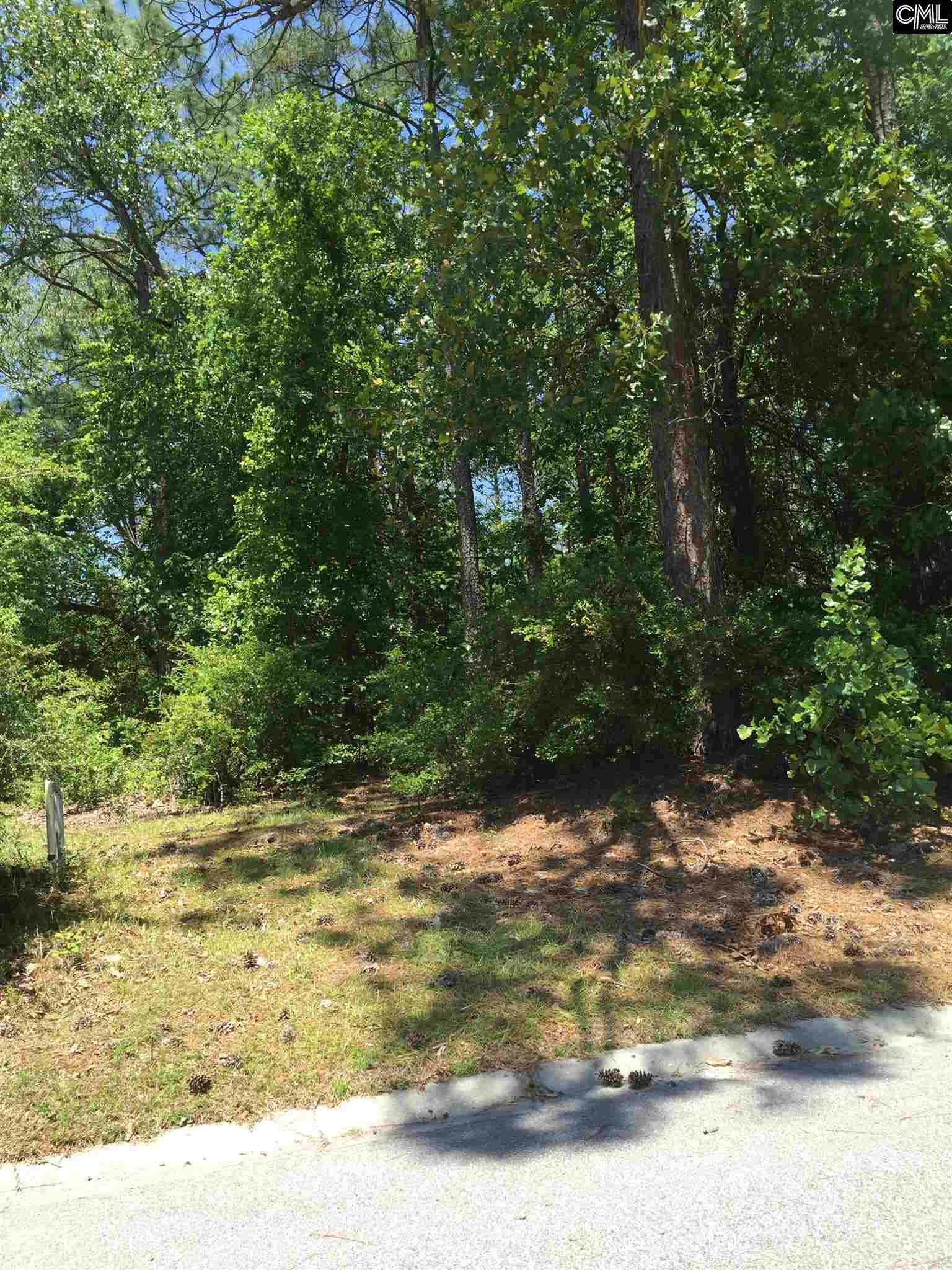 190 Emerald Lake Road, Columbia, SC 29209