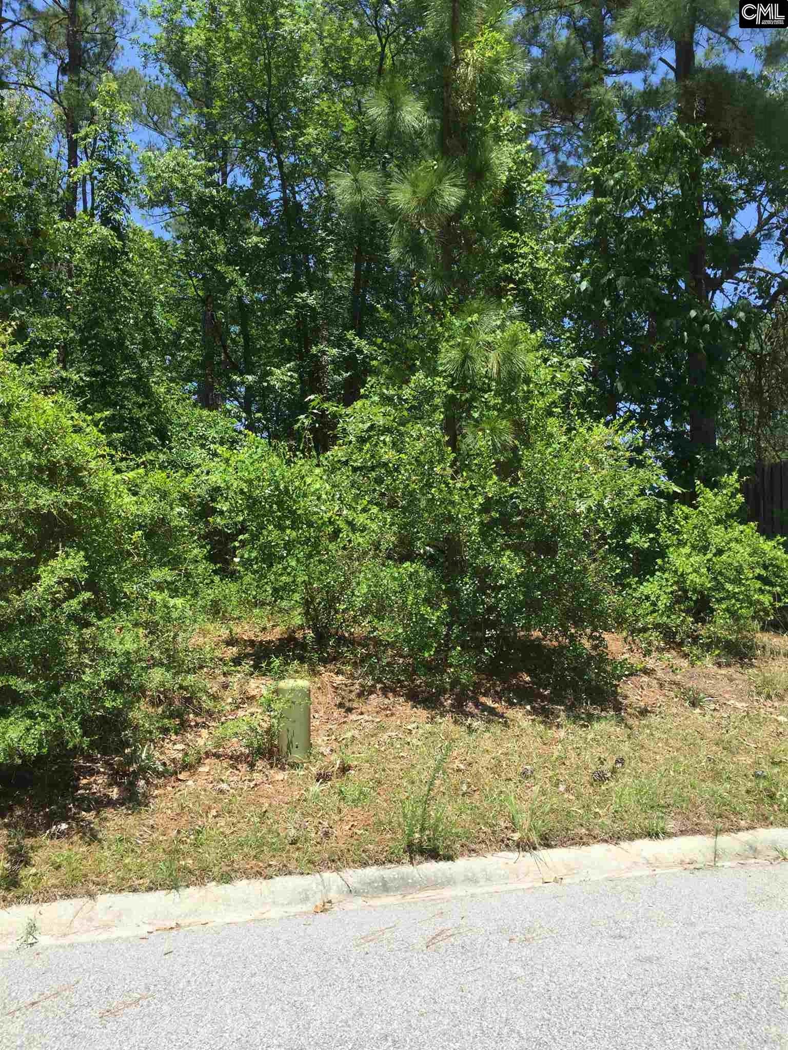 190 Emerald Lake Road, Columbia, SC 29209