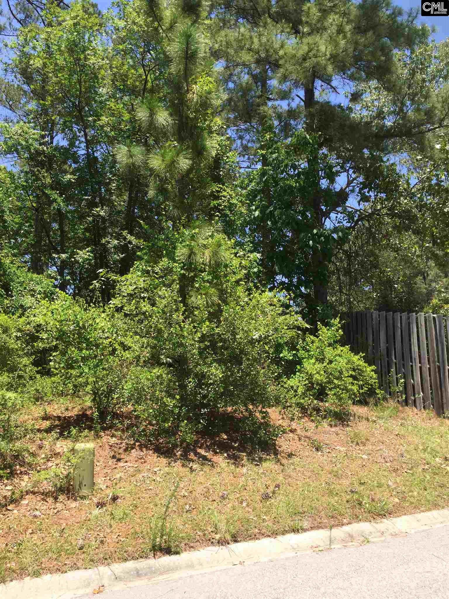 190 Emerald Lake Road, Columbia, SC 29209