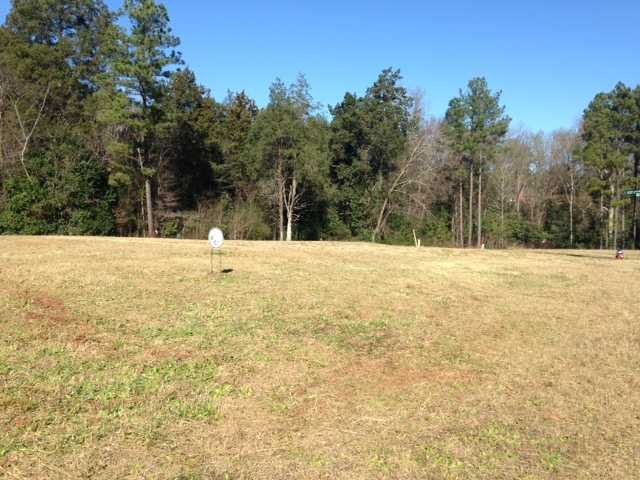 339 Redstone Way, Columbia, SC 29212